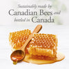 Dutchman's Gold Raw Honey - 15 kg (33 lb) - Canadian Addresses