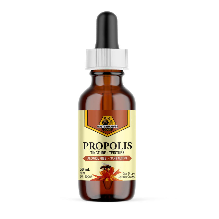 Wholesale - Dutchman's Gold Propolis 20% Tincture - Alcohol Free 50 ml