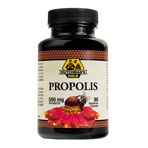 Wholesale - Dutchman's Gold Propolis 500 mg 90 caps